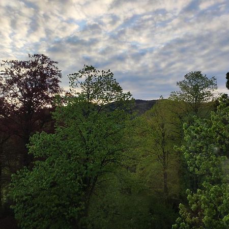 Villa Petterhof Schottwien Esterno foto