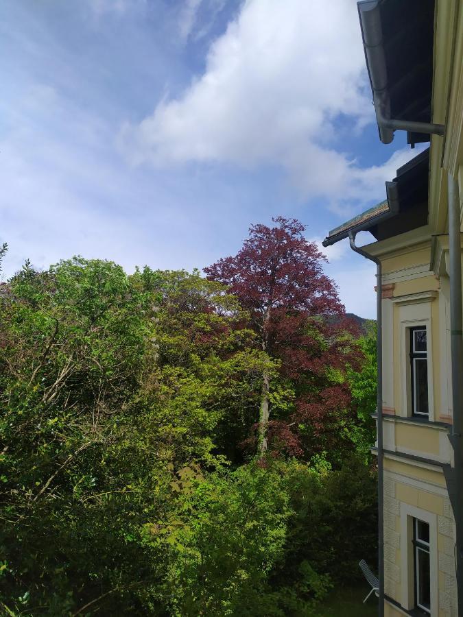 Villa Petterhof Schottwien Esterno foto