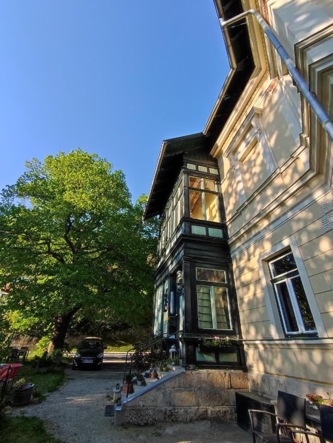Villa Petterhof Schottwien Esterno foto
